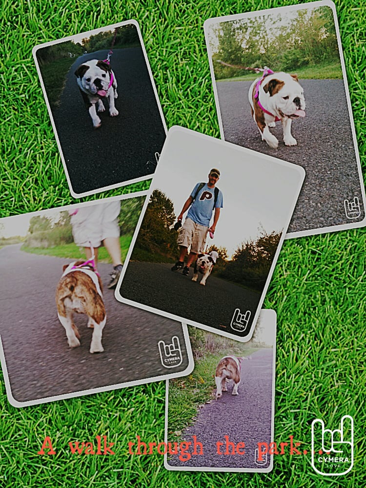 Falls Township Dog Park