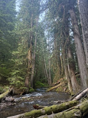 Panther Creek Falls by null