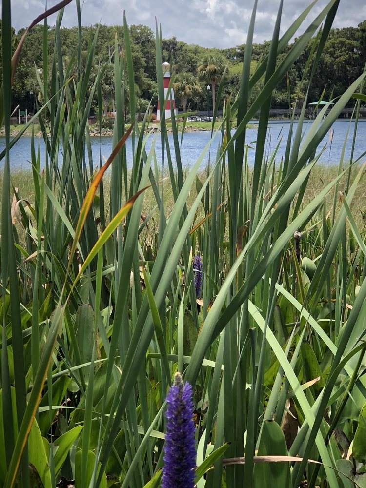 Elizabeth Evans Park Image