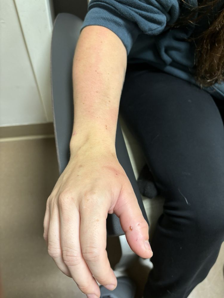 CLIO URGENT CARE Updated August 2024 4272 W Vienna Rd, Clio