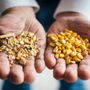 Photo of Jacoby Feed & Seed