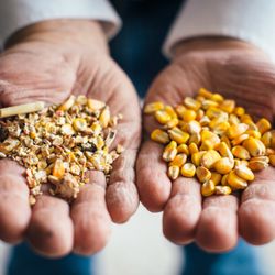 Jacoby Feed & Seed - Jacoby's feed made from all natural ingredients - not in pellet form so you can see what your animals are eating!