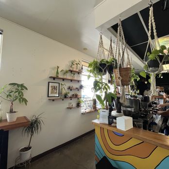 Ultreya Coffee and Tea - Coffee & Tea Near Me - San Diego, California Ultreya Coffee and Tea - Coffee & Tea Near Me - San Diego, California