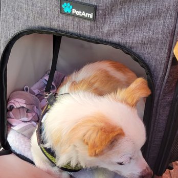 Gary Rack’s Farmhouse Kitchen - Dog Friendly - Bars Near Me - Delray Beach, Florida