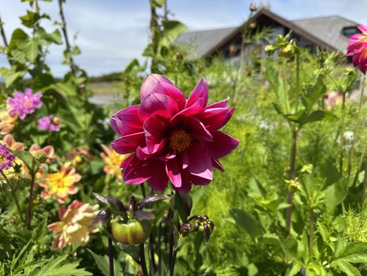 The Inn at Newport Ranch by null