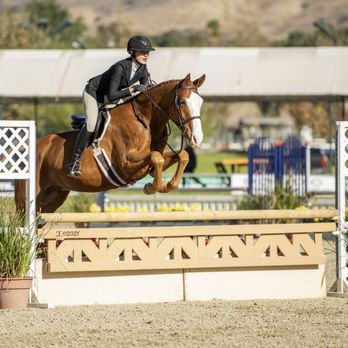 Triple E by Emma - Horse stables with lesson offerings - Horseback Riding Near Me Triple E by Emma - Horse stables with lesson offerings - Horseback Riding Near Me