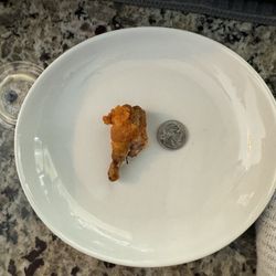 Peewee Wings and Ribs - This is how small the wings are