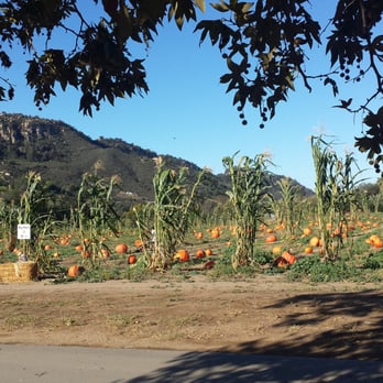 Bates Nut Farm - The plus size patch - Specialty Food Near Me - Valley Center, California Bates Nut Farm - The plus size patch - Specialty Food Near Me - Valley Center, California