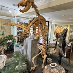 Gibson's Gallery