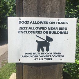 Dog Rules Dog Rules