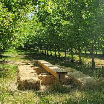 Ruhstaller Farm - Quieter table seating out in the orchard. - Breweries Near Me - Dixon, California Ruhstaller Farm - Quieter table seating out in the orchard. - Breweries Near Me - Dixon, California