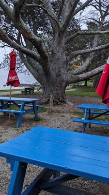 Clam Shack by null
