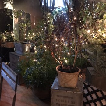 Shoogie Boogies - Side room for events. - Modern European Near Me - Sarasota, Florida