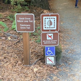 Humboldt Redwoods State Park - Parks Near Me - Weott, California