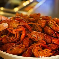 Woodson's Local Tap + Kitchen - Tuesday's special $8.99/lb