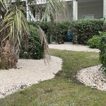 Sea Grass Landscaping - a palm tree in the foreground - Lawn Services Near Me Sea Grass Landscaping - a palm tree in the foreground - Lawn Services Near Me