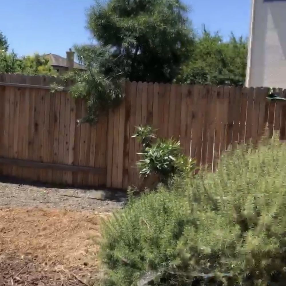 Care Tree Care - After - Tree Services Near Me Care Tree Care - After - Tree Services Near Me