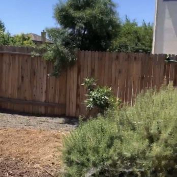 We Care Tree Care - After - Tree Services Near Me - Citrus Heights, California We Care Tree Care - After - Tree Services Near Me - Citrus Heights, California