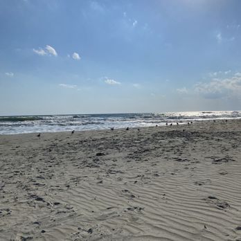 Atlantic Beach at Fort Macon - Beaches Near Me Atlantic Beach at Fort Macon - Beaches Near Me