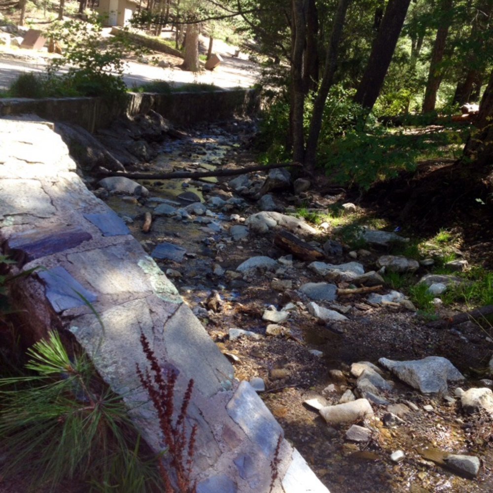 Mount Lemmon - I adore this little stream. - Hiking Near Me - Tucson, Arizona Mount Lemmon - I adore this little stream. - Hiking Near Me - Tucson, Arizona