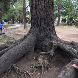 Plaza San Juan Bosco