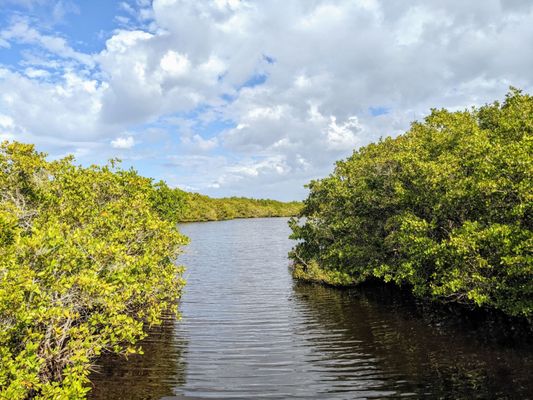 Caladesi Island State Park by null