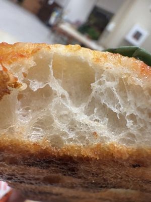 Fermento Pizza NYC by null