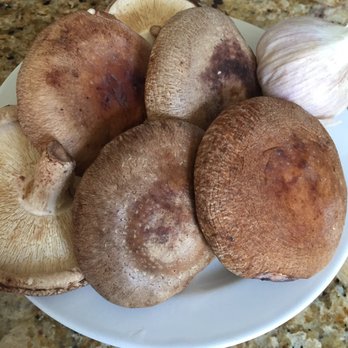 HV Produce - 'I like big shiitakes and I cannot lie' - Farmers Market Near Me - Half Moon Bay, California HV Produce - 'I like big shiitakes and I cannot lie' - Farmers Market Near Me - Half Moon Bay, California