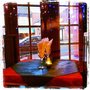 Photo of Rumba - Casa Latina
