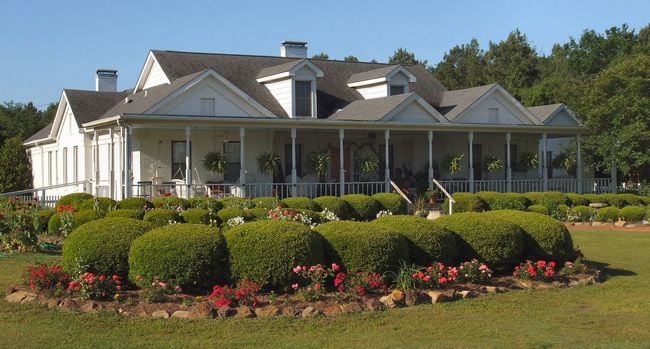 Roseville Bed & Breakfast - Photo 3