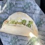 Taco Casa
