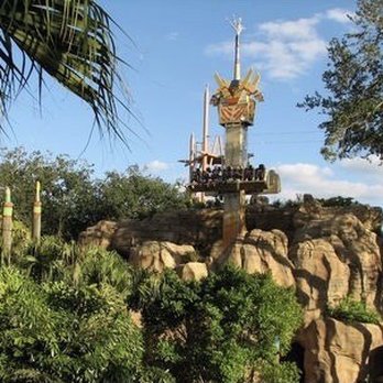 The Wild Surge - Wild Surge Drop Tower Ride, Jungala, Busch Gardens Theme Park, Tampa - Amusement Parks Near Me - Tampa, Florida The Wild Surge - Wild Surge Drop Tower Ride, Jungala, Busch Gardens Theme Park, Tampa - Amusement Parks Near Me - Tampa, Florida