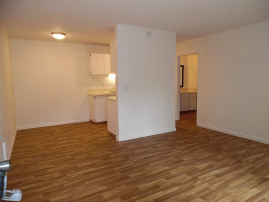 Boulder Gardens by null