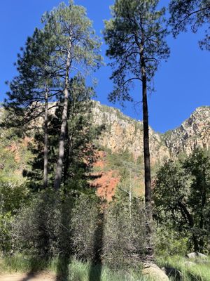 Pine Flat Campground by null