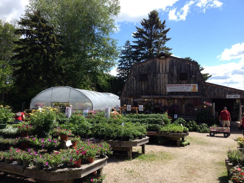 EDMONDSON’S FARM GIFT SHOP & FLORIST Updated August 2024 2627