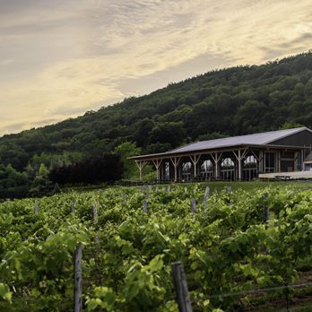 Benjamin Bridge - Benjamin Bridge Winery - Wineries Near Me - Gaspereau, Nova Scotia