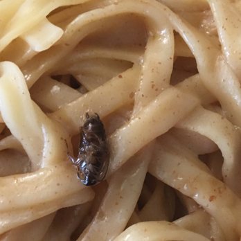 King Dumplings - DEAD ROACH IN MY FOOD - Chinese Near Me - New York, New York