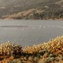 Photo of Seadrift Realty