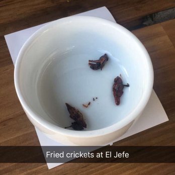 El Jefe - They gave us fried crickets at the end of the meal - Mexican Near Me - Denver, Colorado