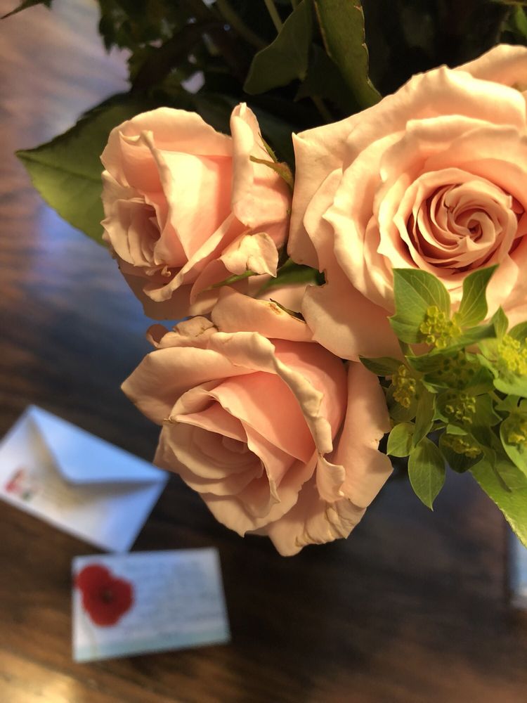 FOUR SEASONS FLORIST & GARDEN CENTER Updated September 2024 415 Monroe St, Colonial Beach