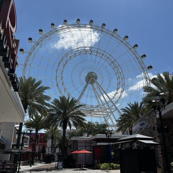 Tin Roof - Great view of the Ferris Wheel - Bars Near Me - Orlando, Florida