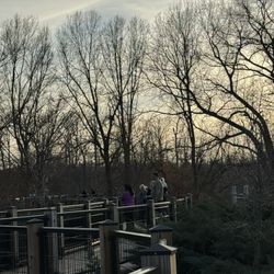 Veteran’s Tribute Park