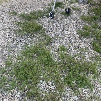 Pacific Dunes Ranch Campground - More weeds at our site - RV Parks Near Me - Oceano, California Pacific Dunes Ranch Campground - More weeds at our site - RV Parks Near Me - Oceano, California