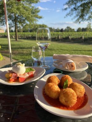 Two Sisters Vineyards by null