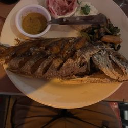 El Barracuda - Snapper
