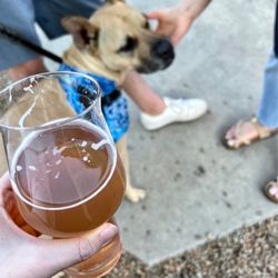 Legion Brewing Plaza Midwood