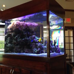 Gateway Dental - Love the fish tank in the waiting room
