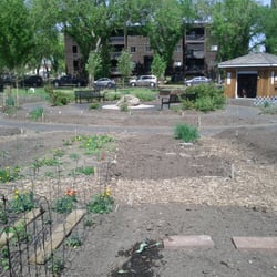 Peace Garden Park - The garden in May... not much greenery yet!