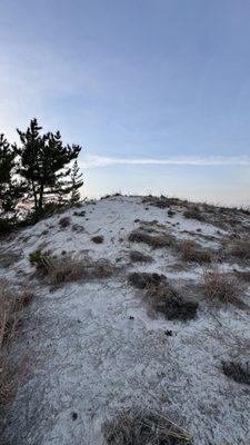 Jones Beach State Park by null