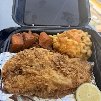 Mangos Cafe And Specialty store - Catfish dinner - Caribbean Near Me - Temple Terrace, Florida Mangos Cafe And Specialty store - Catfish dinner - Caribbean Near Me - Temple Terrace, Florida